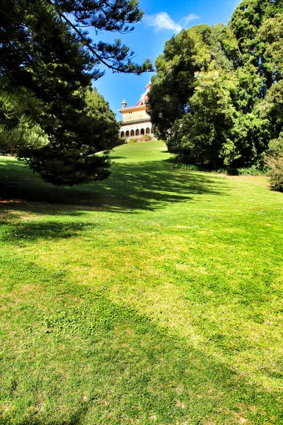 里斯本辛特拉的绿叶花园 有大树 — 图库照片