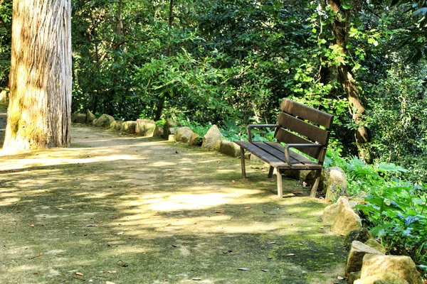 Bank Einem Grünen Garten Mit Großen Und Alten Bäumen Sintra — Stockfoto