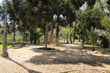 İlkbaharda Elche 'deki Vinalopo Nehri' nin yamacında palmiye ağaçlarının manzarası ve güzel bahçeler