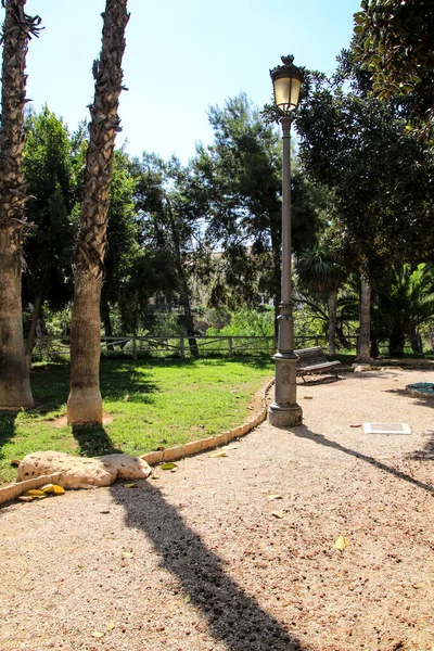 Paysage Palmeraie Beaux Jardins Sur Colline Rivière Vinalopo Elche Printemps — Photo