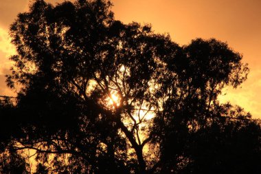 Alicante 'de baharda Sunset' te bulutlar ve güzel gökyüzü