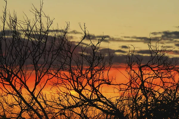 Wolken Mooie Lucht Bij Zonsondergang Alicante Het Voorjaar — Stockfoto