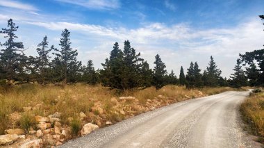 İspanya 'nın Alicante kentinde gün batımında doğal çalılar ve kozalaklı kırsal alan