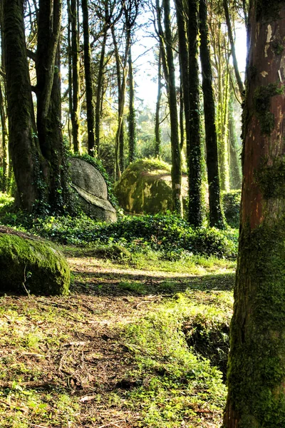 Vacker Lövskog Med Kolossala Klippformationer Och Majestätiska Träd Med Mjuka — Stockfoto