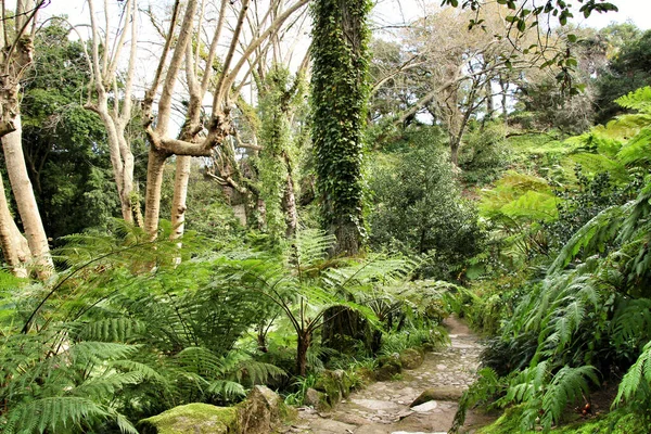 Path between with green vegetation in winter in Lisbon, Portugal