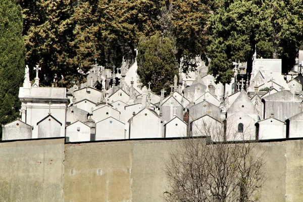 Veduta Del Cimitero Dos Prazeres Lisbona Cipressi Sullo Sfondo — Foto Stock