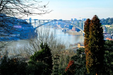 Oporto, Portekiz - 6 Ocak 2020: Oporto, Portekiz 'deki güzel ve Idyllic Kristal Saray Bahçeleri