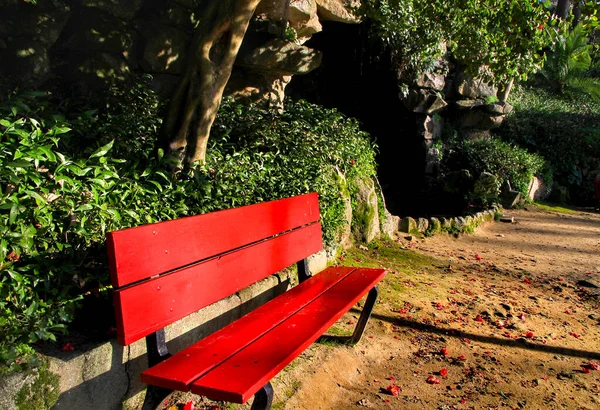 Red Bench Ένα Καταπράσινο Κήπο Μεγάλα Και Παλιά Δέντρα Στο — Φωτογραφία Αρχείου