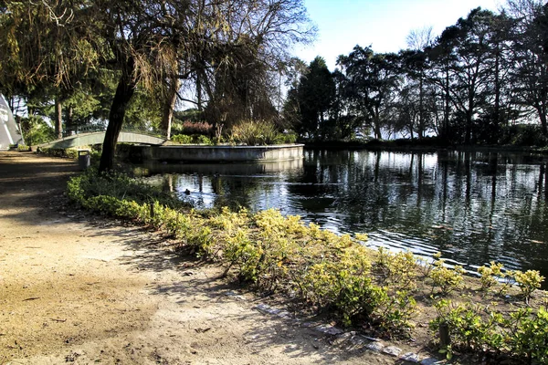 Porto Portugal Januar 2020 Schöner Teich Mit Enten Idyllischen Kristallpalastgarten — Stockfoto
