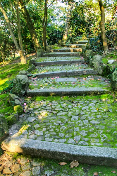 Oporto Portugal Enero 2020 Escalera Piedra Hermoso Idílico Jardín Del — Foto de Stock