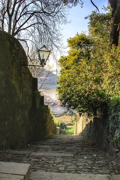 Porto Portugal Januari 2020 Stentrappa Vackra Och Idylliska Crystal Palace — Stockfoto