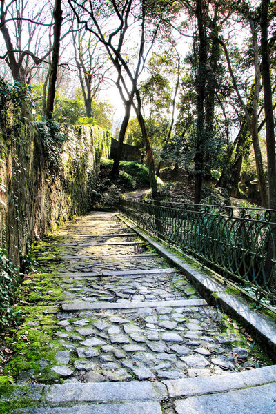 Oporto, Portugal- January 6, 2020: Stone staircase in the Beautiful and Idyllic Crystal Palace Garden in Oporto, Portugal
