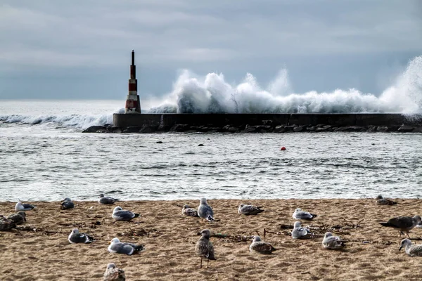 Óriási Hullámok Törnek Hullámtörőn Világítótoronyon Aguda Beach Miramar Ban Arcozelos — Stock Fotó