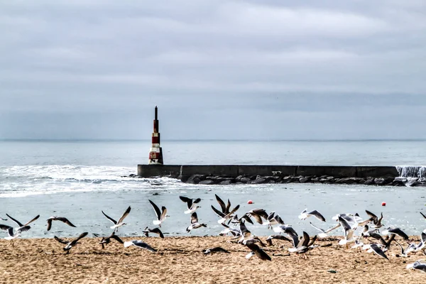 Breakwater Faro Día Nublado Aguda Beach Miramar Ciudad Arcozelos — Foto de Stock