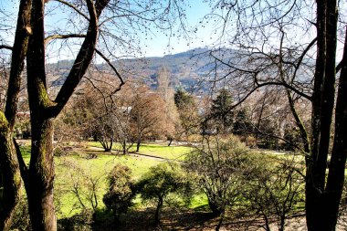Portekiz 'in Guimaraes köyünde eski evlerle çevrili güzel bir bahçe.