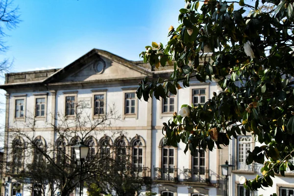 Belo Jardim Rodeado Por Casas Antigas Aldeia Guimarães Portugal — Fotografia de Stock