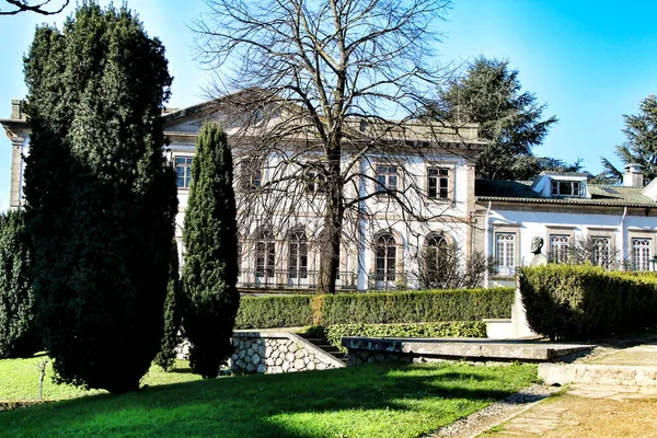 Prachtige Tuin Omringd Door Oude Huizen Guimaraes Dorp Portugal — Stockfoto