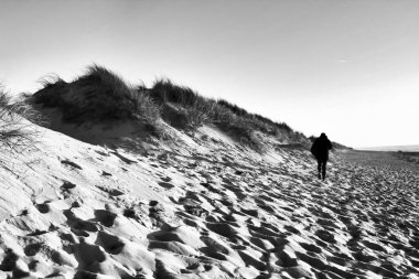 Aveiro, Porto, Portekiz 'de kum tepeleri ve çalıları olan güzel bir sahil.