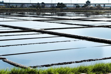 Portekiz, Porto 'daki Aveiro köyündeki tuz düzlüklerinin güzel manzarası