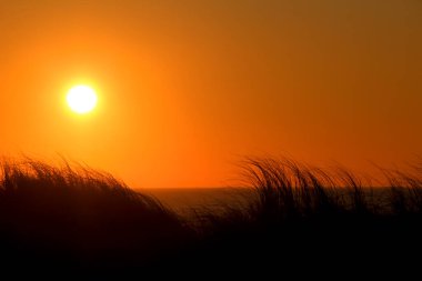 Portekiz, Aveiro 'da turuncu renkli güzel bir gün batımı