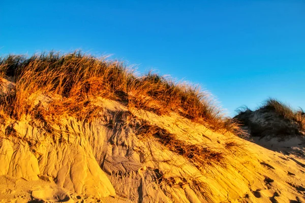 Bela Praia Com Dunas Arbustos Aveiro Porto Portugal — Fotografia de Stock