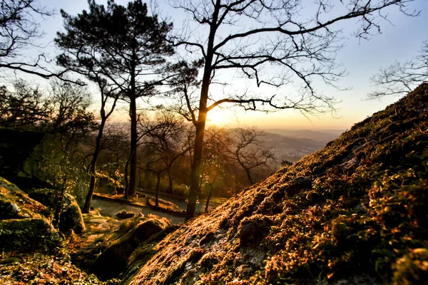 Beautiful Sunset Leafy Forest Colossal Rock Formations Majestic Trees Soft — Stock Photo, Image