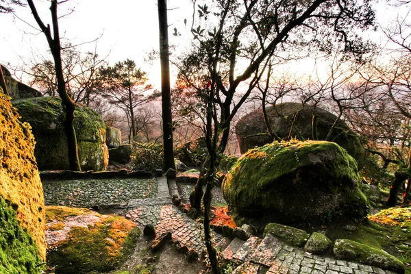 Prachtig Lommerrijk Bos Met Kolossale Rotsformaties Majestueuze Bomen Met Zachte — Stockfoto