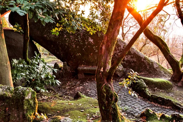 Gyönyörű Leveles Erdő Kolosszális Sziklaformációkkal Fenséges Fákkal Lágy Napsugarakkal Penha — Stock Fotó