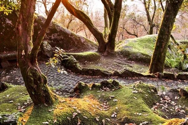 Όμορφο Φυλλώδες Δάσος Κολοσσιαίους Βραχώδεις Σχηματισμούς Και Μεγαλοπρεπή Δέντρα Απαλές — Φωτογραφία Αρχείου
