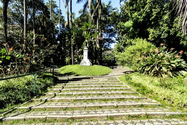 Blad Groene Tuinen Met Grote Bomen Botanische Tuin Van Lissabon — Stockfoto