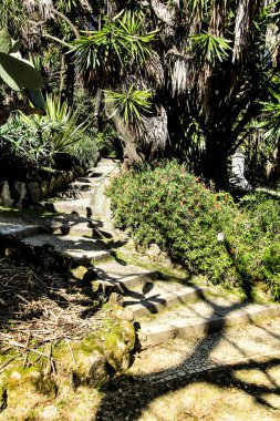 Lizbon Botanik Bahçesi 'nde büyük ağaçları olan yapraklı ve yeşil bahçeler