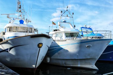 Santa Pola limanına demirlemiş balıkçı tekneleri, Alicante