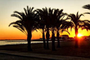 Santa Pola, Alicante, İspanya 'daki Levante plajında plaj vahası günbatımı