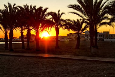 Santa Pola, Alicante, İspanya 'daki Levante plajında plaj vahası günbatımı