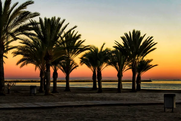 西班牙阿利坎特圣波拉Levante海滩的海滩绿洲日落 — 图库照片