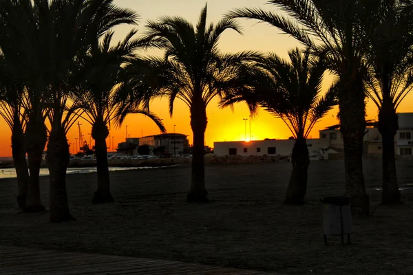 Oásis Praia Pôr Sol Praia Levante Santa Pola Alicante Espanha — Fotografia de Stock