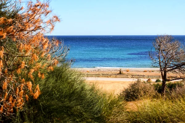 Grönt Landskap Södra Spanien Stranden Alicantkusten — Stockfoto