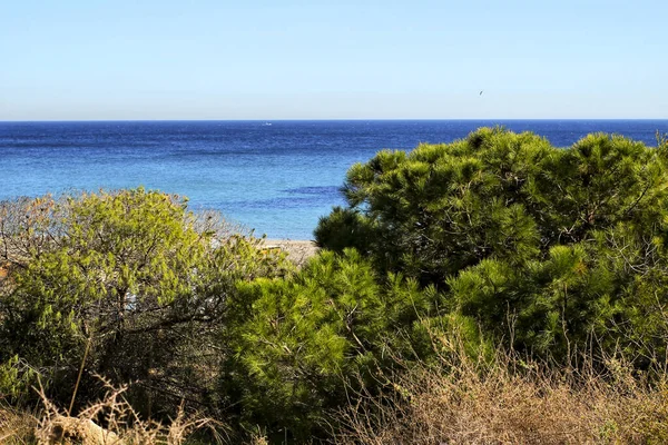 Paisagem Verde Sul Espanha Praia Costa Alicante — Fotografia de Stock