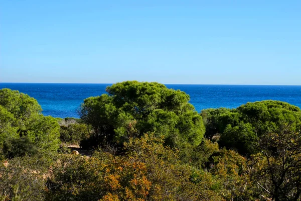 Grönt Landskap Södra Spanien Stranden Alicantkusten — Stockfoto