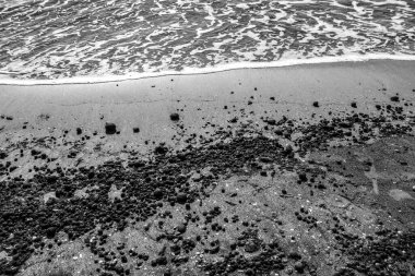 İspanya 'nın Santa Pola kentindeki fırtınadan sonra Oceanic Posidonia kıyıda kalmaya devam ediyor