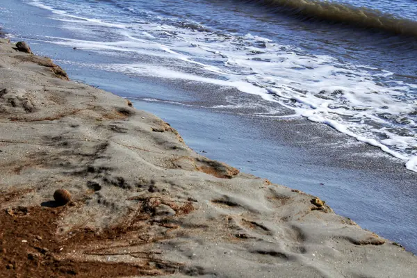 Oceanic Posidonia Marad Parton Miután Vihar Santa Pola Spanyolország — Stock Fotó