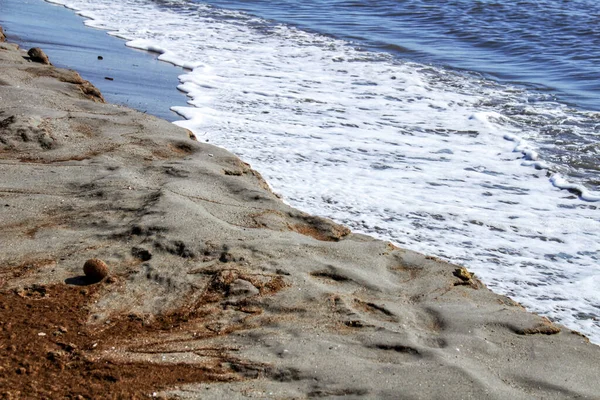 Oceanic Posidonia Marad Parton Miután Vihar Santa Pola Spanyolország — Stock Fotó