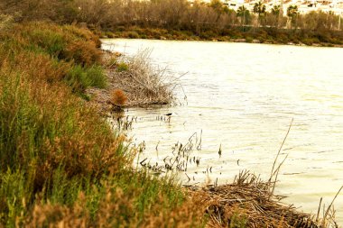 Santa Pola 'nın bataklıkları, kışın bulutlu bir gününde. Arka planda Santa Pola