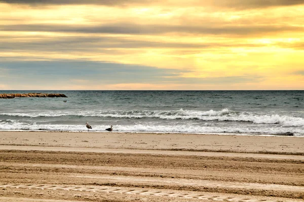 Spiaggia Sotto Cielo Tempestoso Oro Santa Pola Alicante Spagna — Foto Stock
