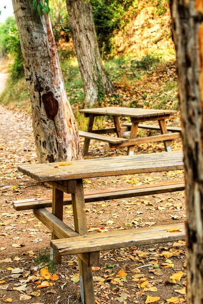 Wooden Benches Forest Chelva Valencia Spain — Stock Photo, Image