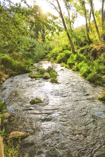 Leafy Forest River Chelva Valencia Spain — Stock fotografie