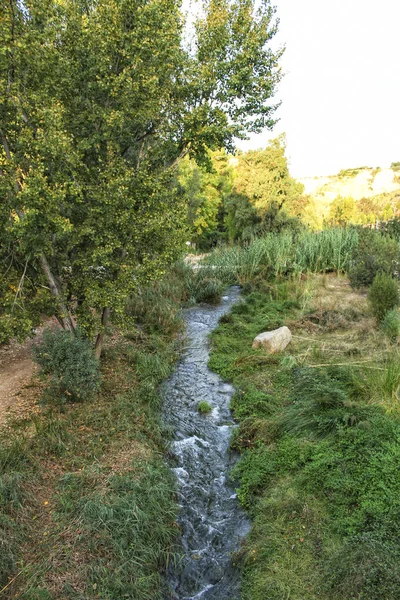 Ποταμός Tuejar Και Φυλλώδη Δάση Στην Κοινότητα Της Βαλένθια Ισπανία — Φωτογραφία Αρχείου