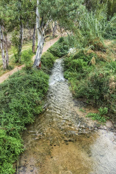 Ποταμός Tuejar Και Φυλλώδη Δάση Στην Κοινότητα Της Βαλένθια Ισπανία — Φωτογραφία Αρχείου