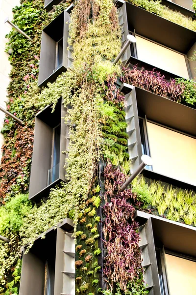 Belle Façade Moderne Avec Jardin Vertical Madrid — Photo