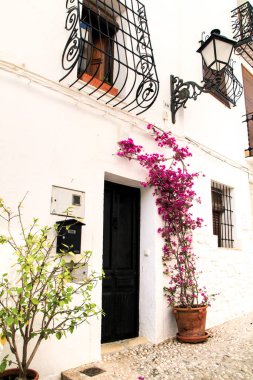 Beautiful whitewashed facade with colorful bougainvillea plant in Altea village, Alicante, Spain